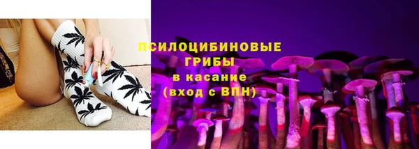 соль ск Бронницы