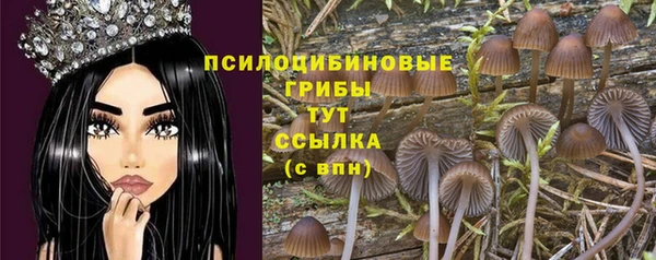 гидропоника Верхний Тагил