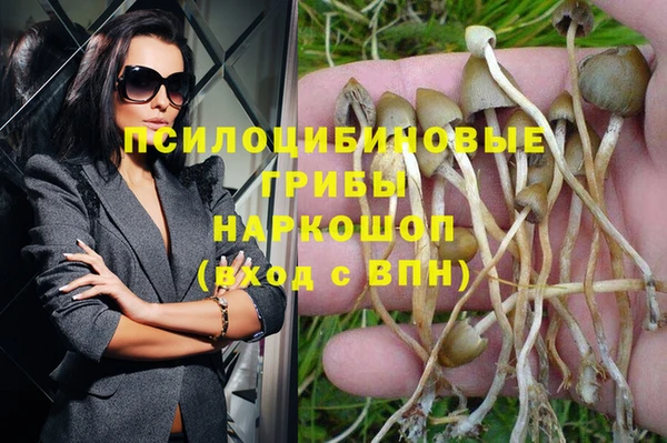 молекула духа Верхнеуральск