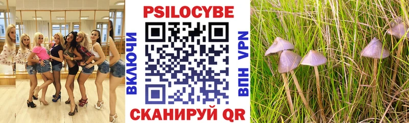 Псилоцибиновые грибы MAGIC MUSHROOMS  где купить наркоту  Кимовск 