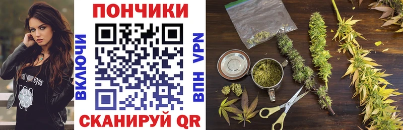 Бошки марихуана индика  Кимовск 